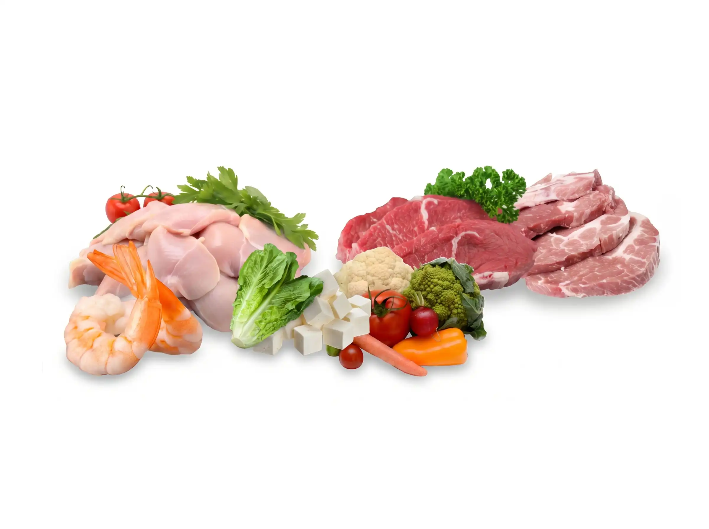 Protein